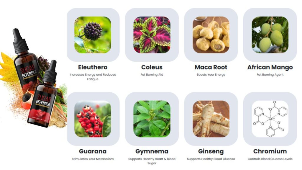 Key Ingredients